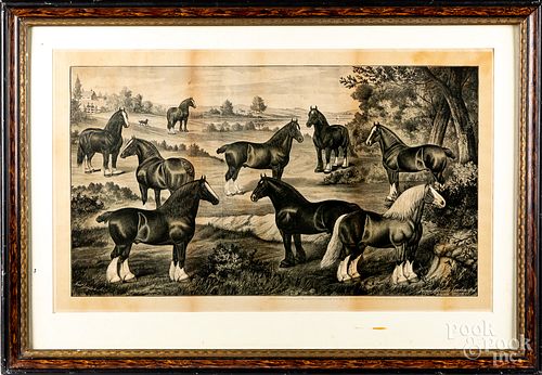 CANADIAN HORSE LITHOGRAPH AFTER 3152d6