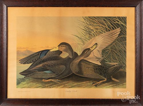 BIEN EDITION AUDUBON LITHOGRAPH,