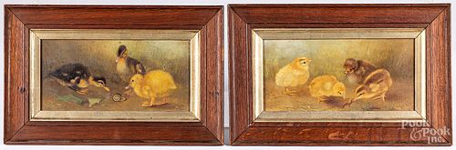 PAIR OF ENGLISH OIL ON CANVAS CHICK 3152f4