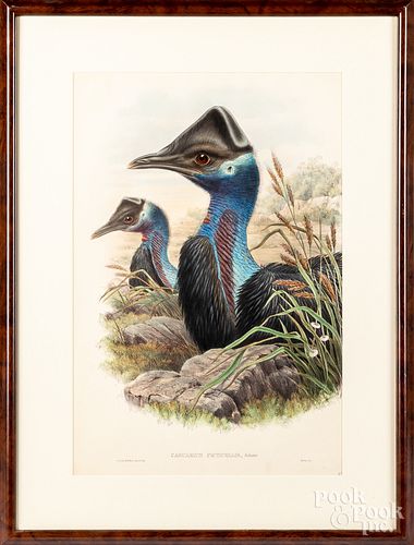 TWO COLOR BIRD LITHOGRAPHSTwo color 315483
