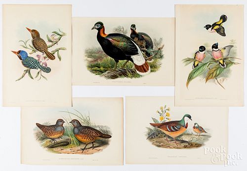 FIVE BIRD LITHOGRAPHSFive Gould & Richter