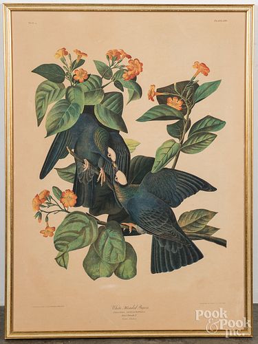 AUDUBON BIEN EDITION PRINT WHITE 3155e5