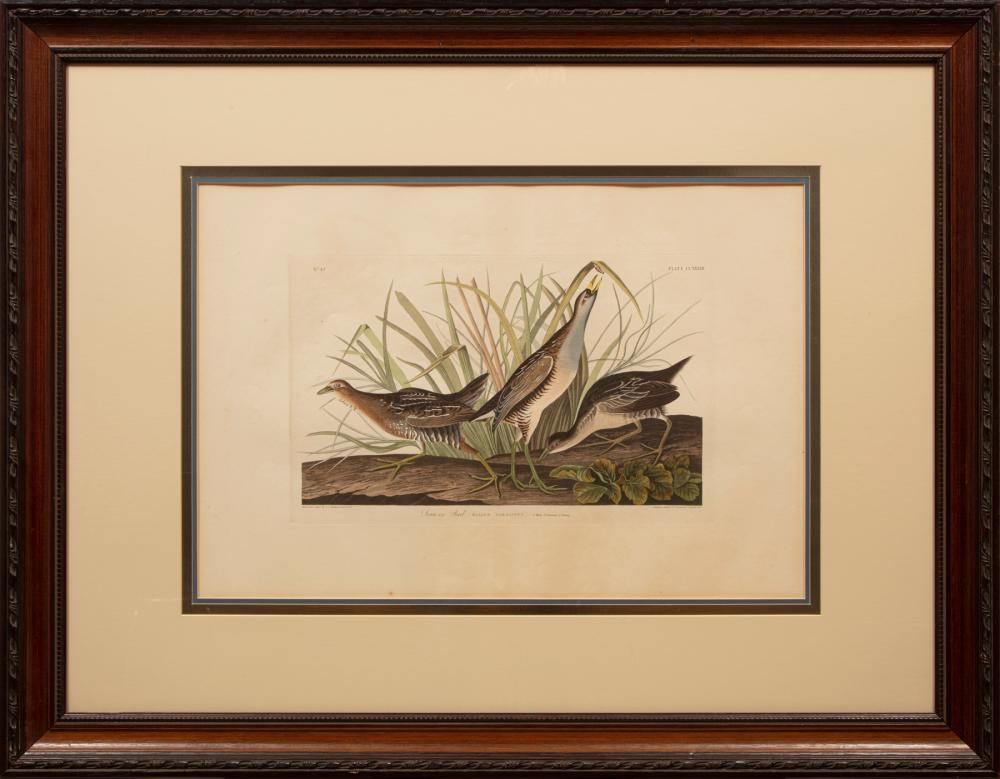 JOHN JAMES AUDUBON AMERICAN 1785 1851 John 3184d0