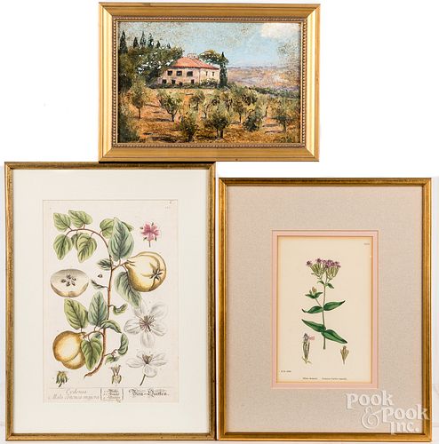 TWO BOTANICAL PRINTS, ETC.Two botanical