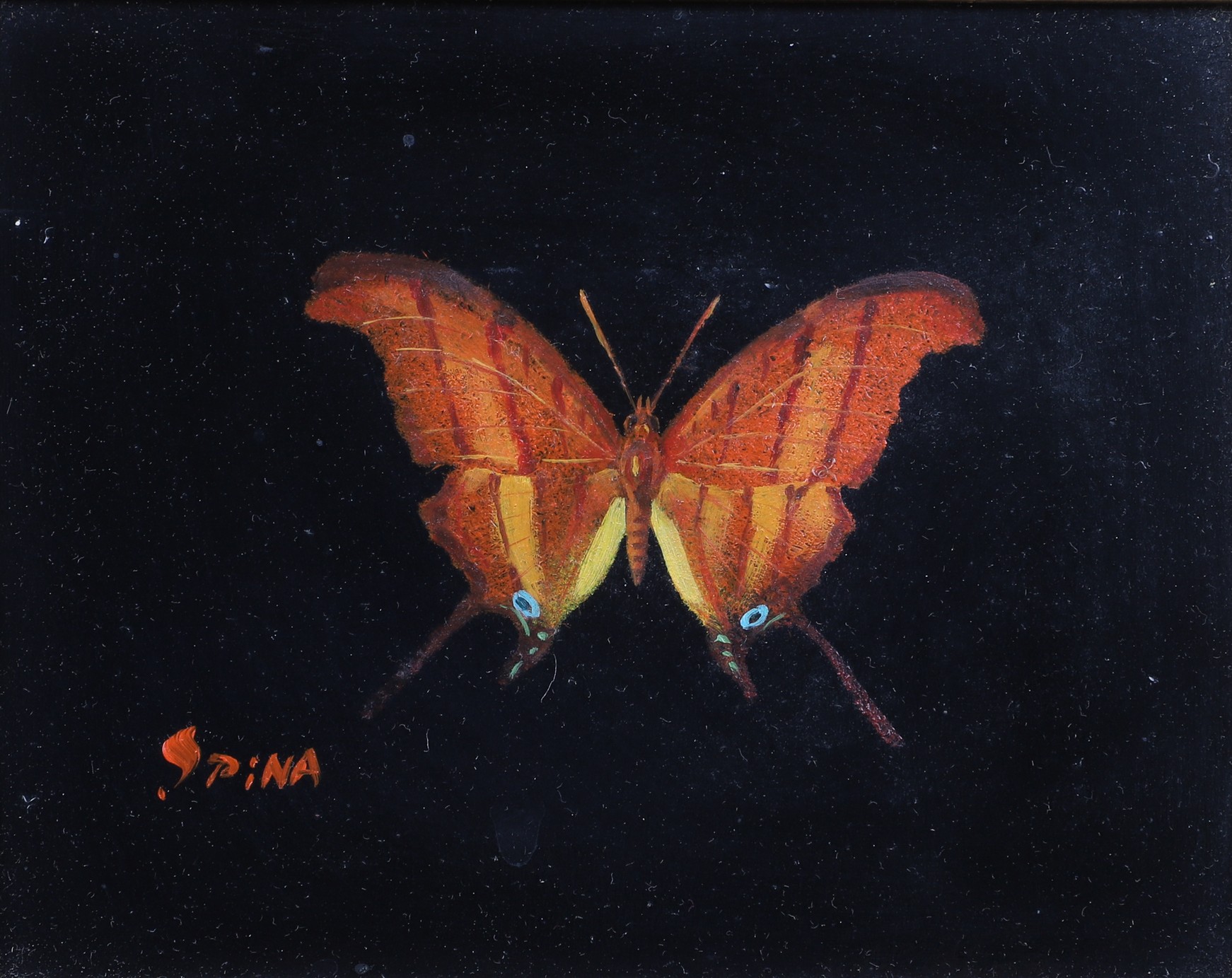 Trompe l oeil Painting of a Butterfly  317f16