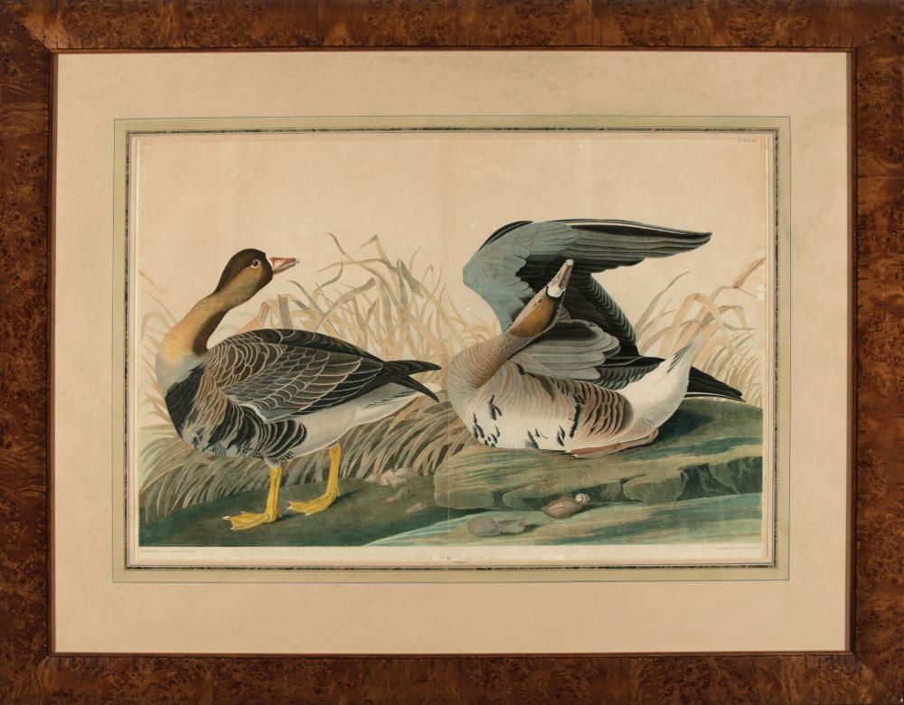 JOHN JAMES AUDUBON AMERICAN 1785 John 31ba51