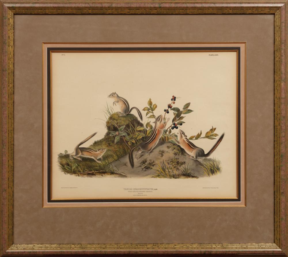 JOHN JAMES AUDUBON AMERICAN 1785 1851 John 319829