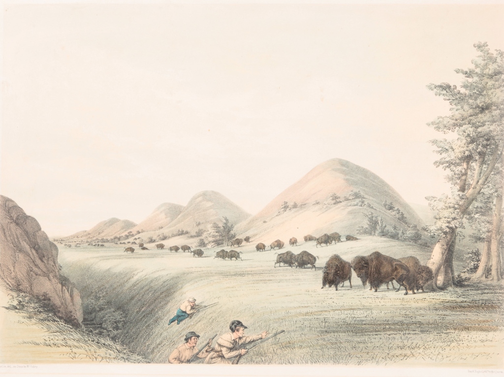 GEORGE CATLIN, PRINT "BUFFALO HUNT,