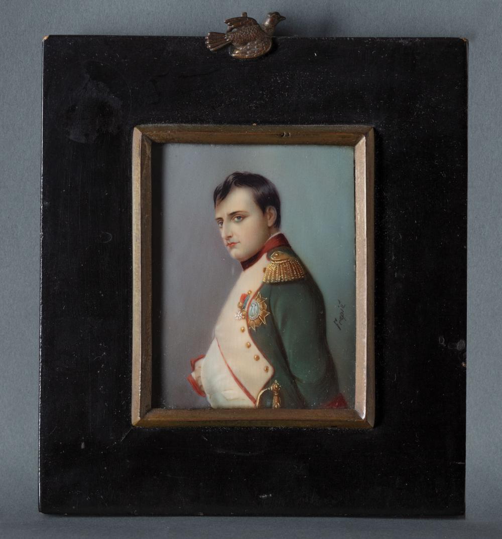 THIRTEEN PORTRAITS OF NAPOLEONCollection 319be9