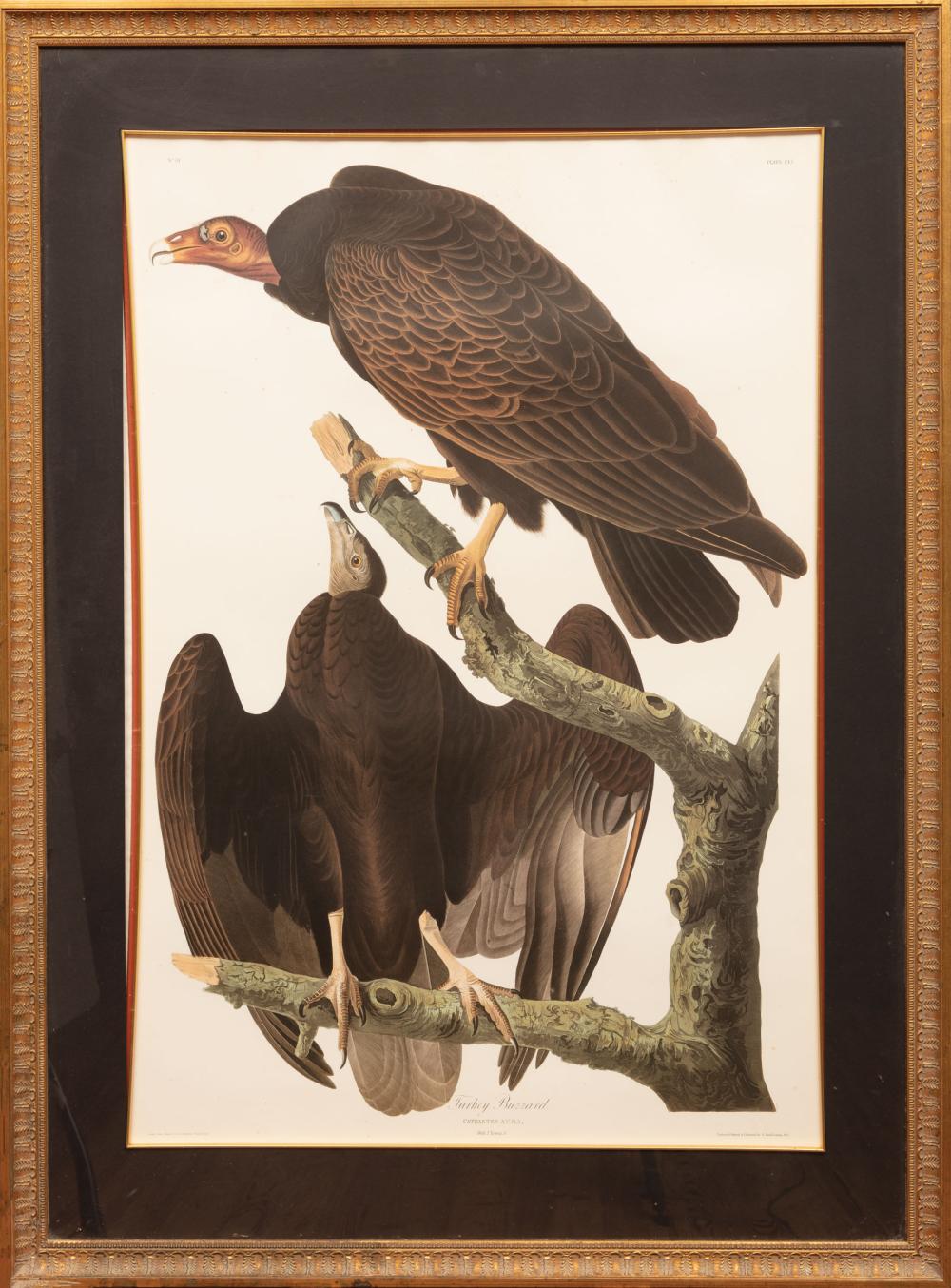 AFTER JOHN JAMES AUDUBON (AMERICAN,