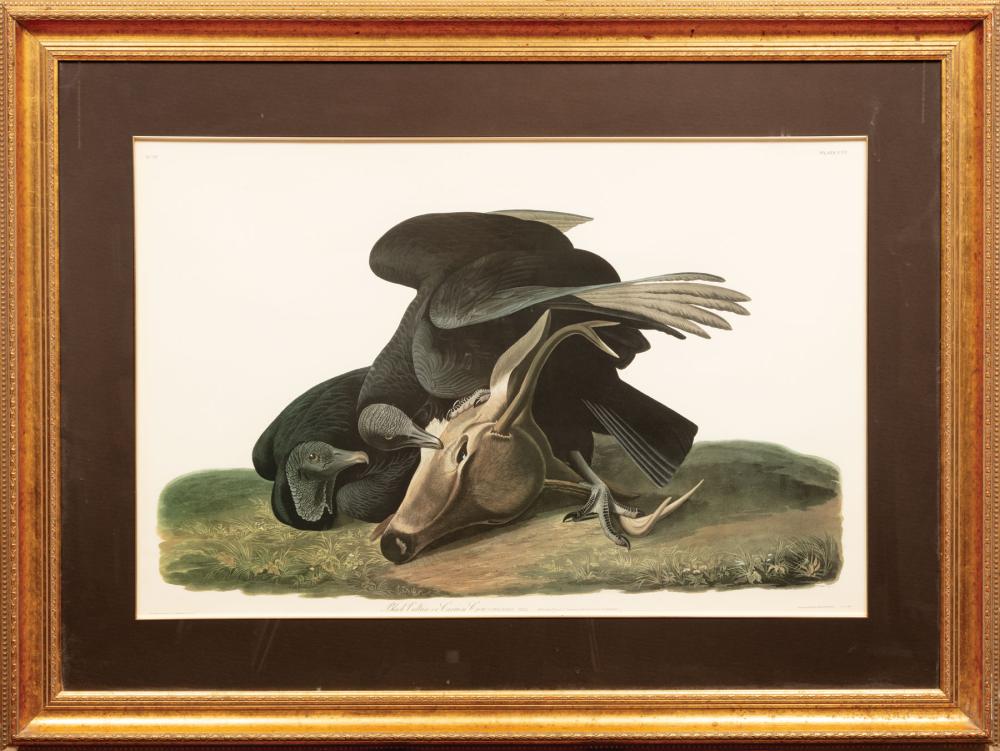 AFTER JOHN JAMES AUDUBON AMERICAN  319ebe