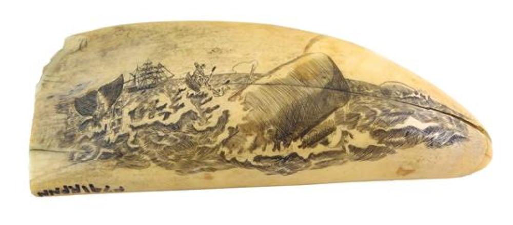 NAUTICAL SCRIMSHAW 19TH C WHALE S 31d05b