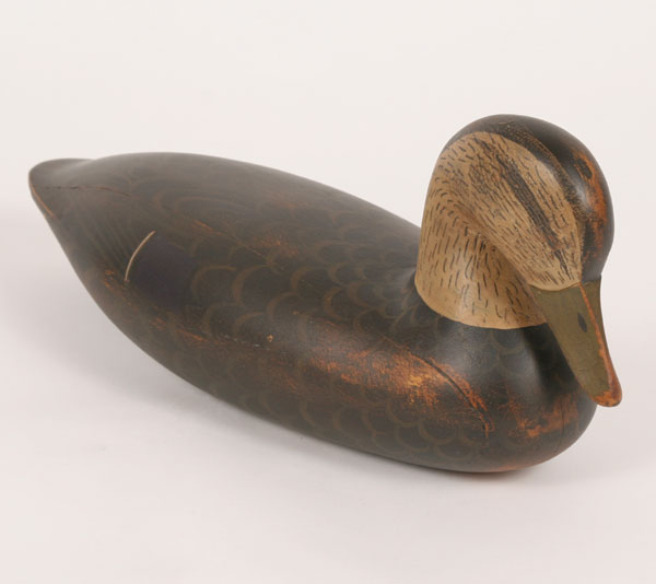 Preening black duck decoy; paper