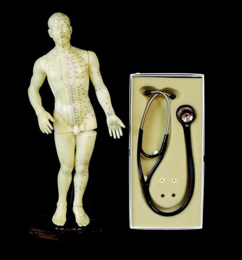 ACUPUNCTURE MODEL AND STETHOSCOPE,