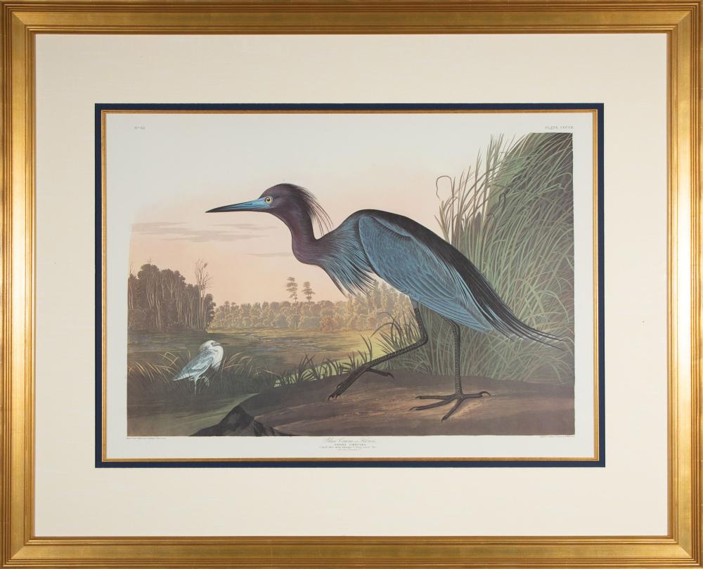 JOHN JAMES AUDUBON (AMERICAN, 1785-1851)John