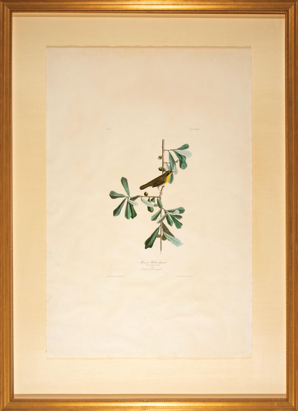 JOHN JAMES AUDUBON AMERICAN 1785 1851 John 31c5ee