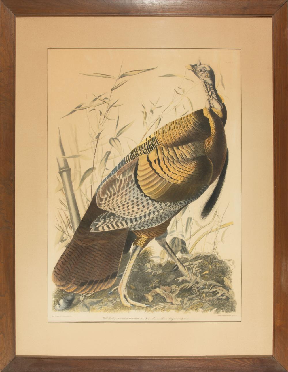 AFTER JOHN JAMES AUDUBON (AMERICAN,