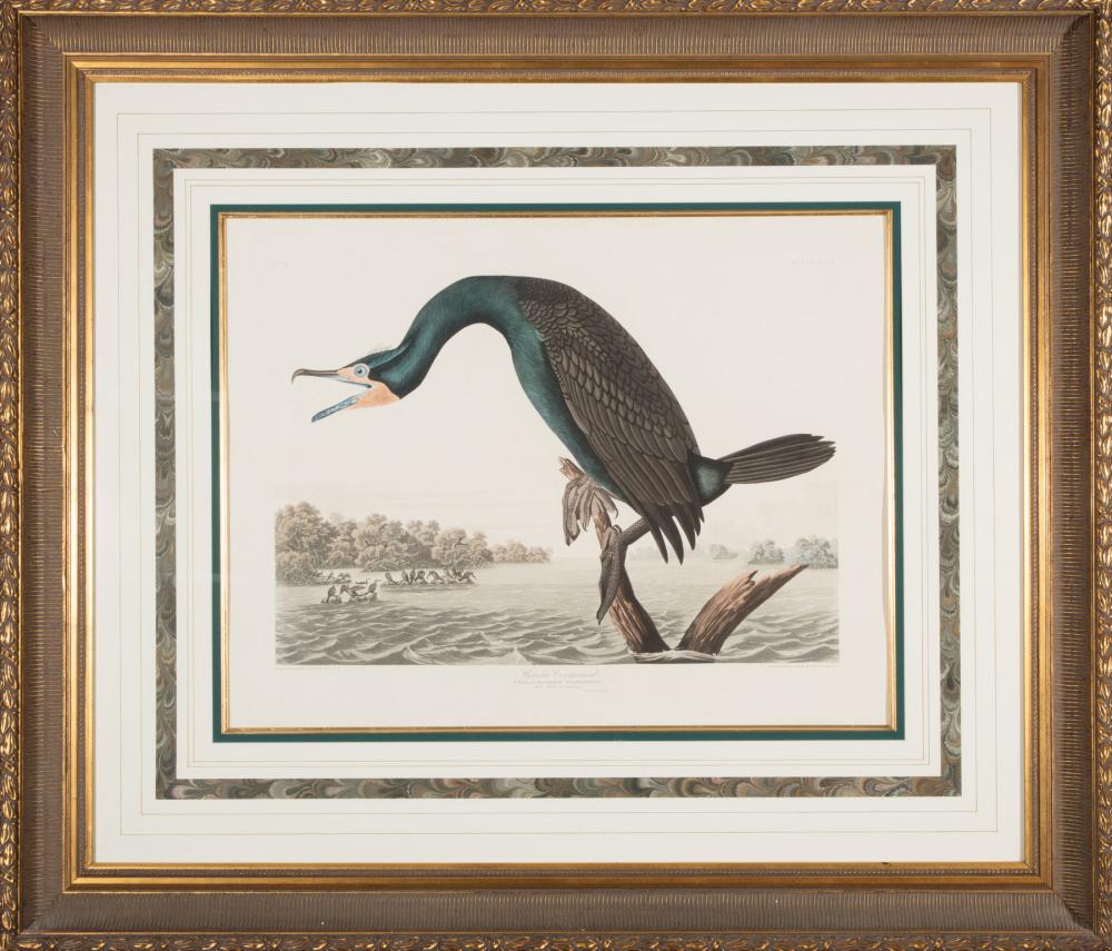 JOHN JAMES AUDUBON AMERICAN 1785 1851 John 31c9b1