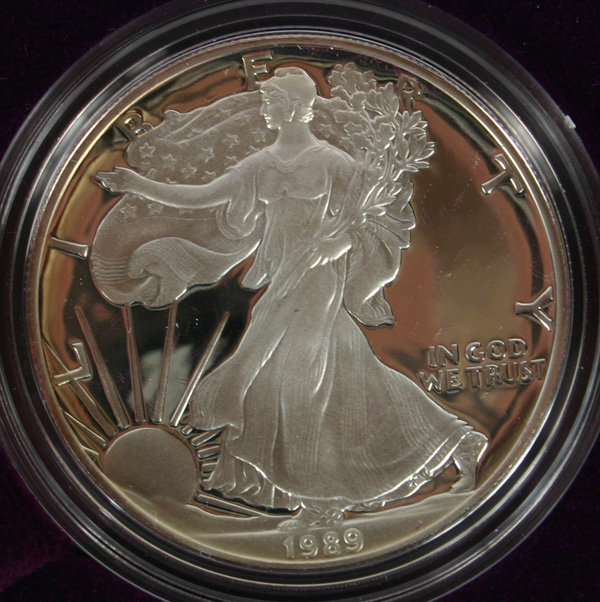 Two 1989 US Mint American Silver 4fef8