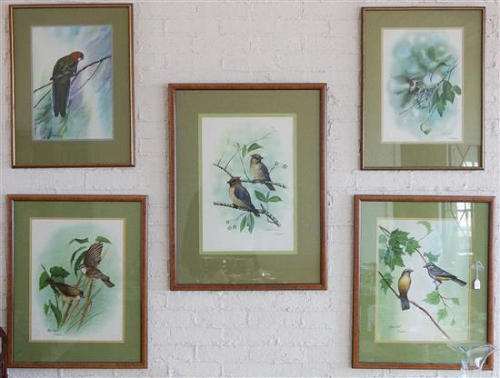 20TH CENTURY SCHOOL FIVE ORNITHOLOGICAL 3201c2