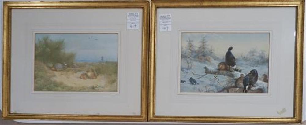 TWO FRAMED ORNITHOLOGICAL PRINTSTwo 320266