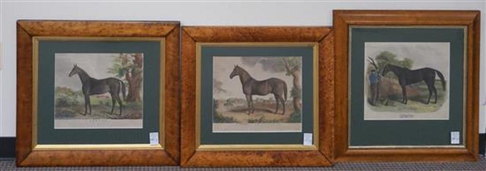 THREE ENGLISH COLORED EQUINE ENGRAVINGS 320c50