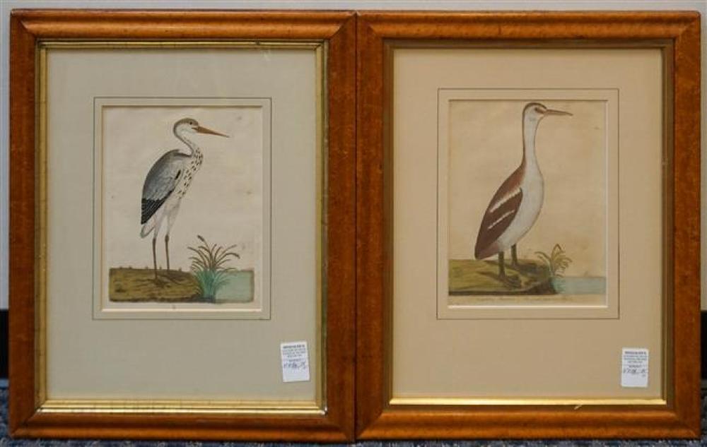 TWO ORNITHOLOGICAL COLORED ENGRAVINGS  321f67