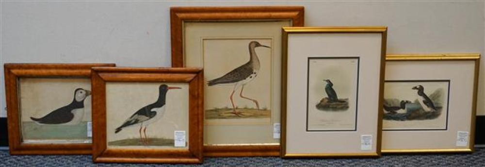 FIVE ORNITHOLOGICAL COLORED ENGRAVINGS,