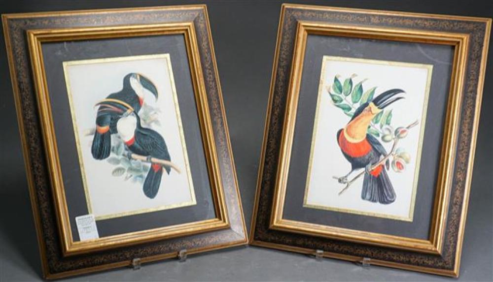 PAIR ORNITHOLOGICAL COLOR PRINTS,