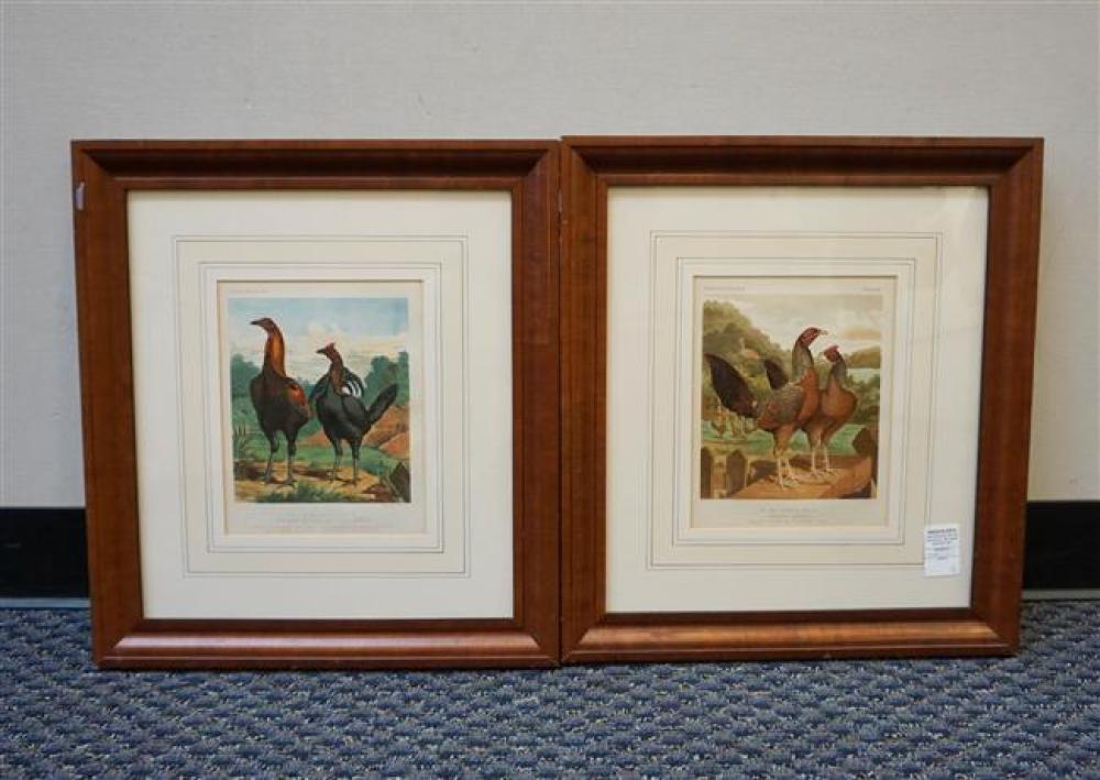 PAIR CASSELL'S POULTRY BOOK CHROMOLITHOGRAPHS,