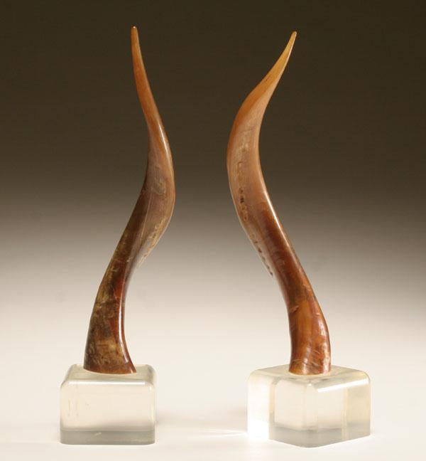 Pair of horns mounted on lucite 504b1