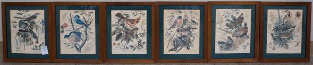 SIX FRAMED ORNITHOLOGICAL PRINTSSix