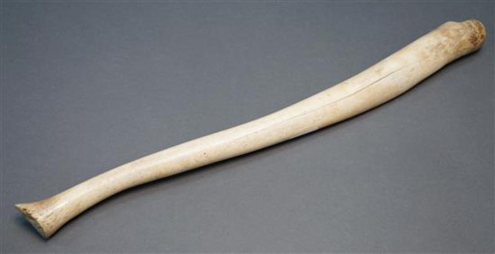 BACULUM, LENGTH: 22-1/2 INBaculum, Length: