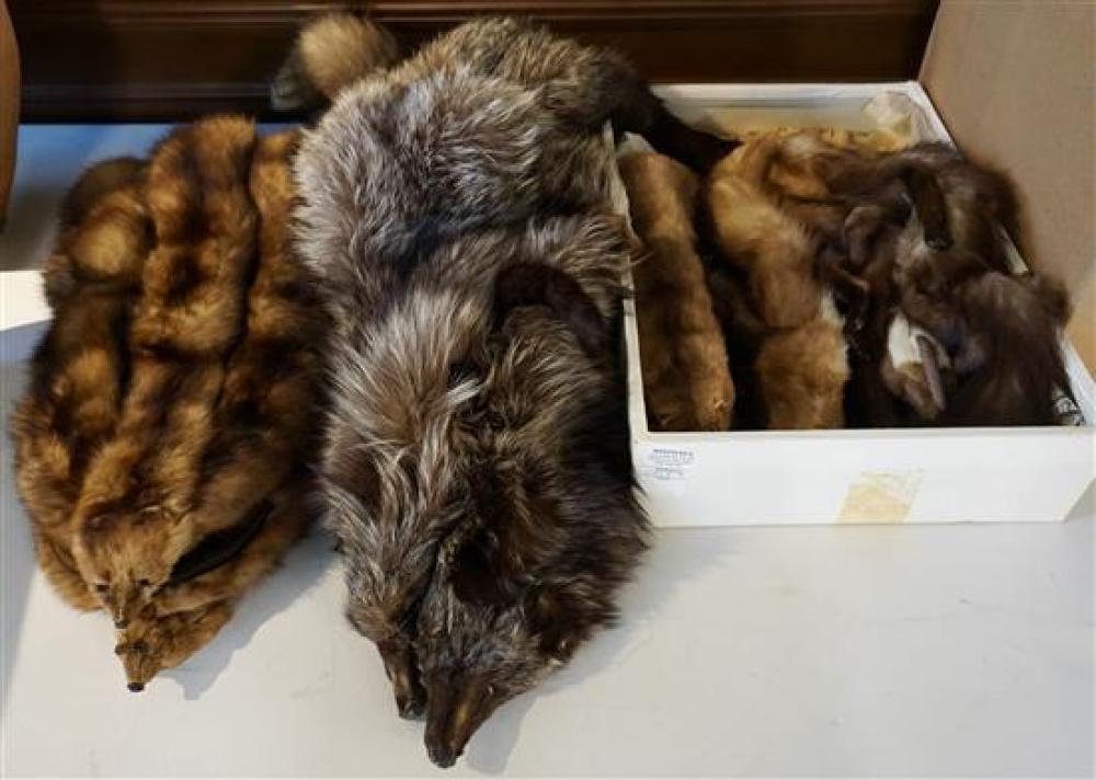 COLLECTION OF FOX AND MINK BOASCollection