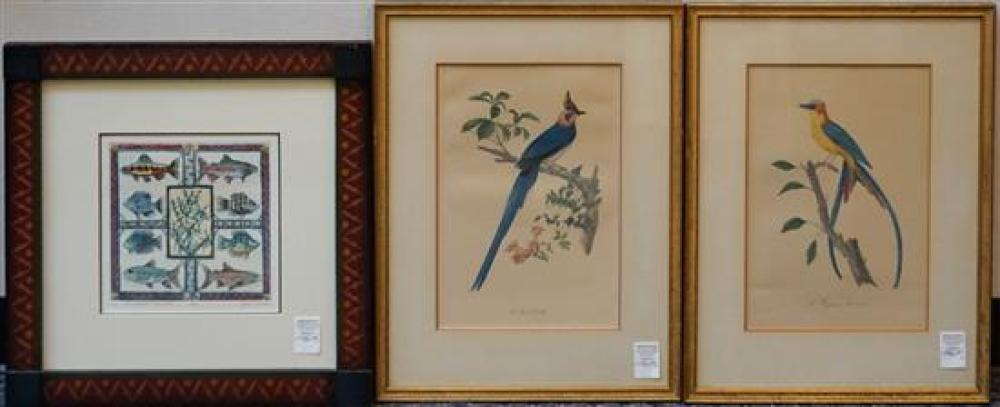 PAIR FRAMED ORNITHOLOGICAL COLOR 32147f