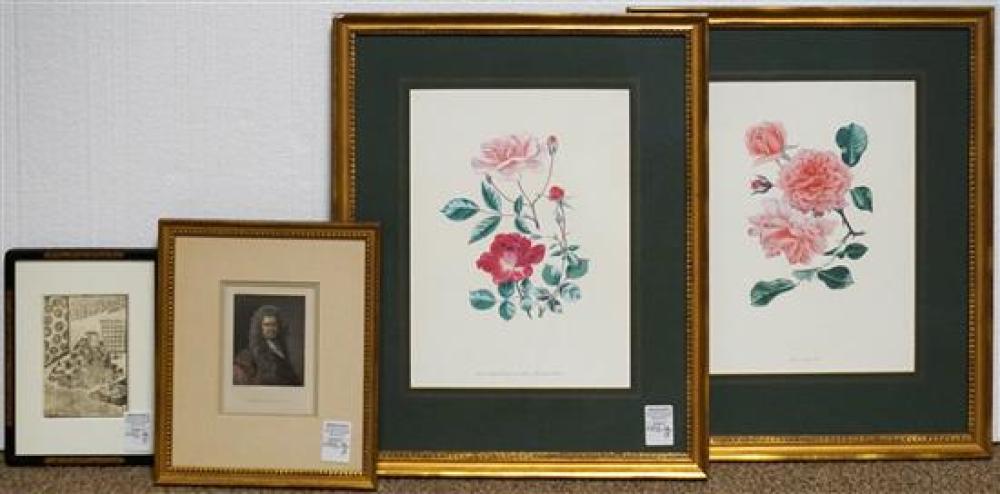 PAIR BOTANICAL COLOR PRINTS OF