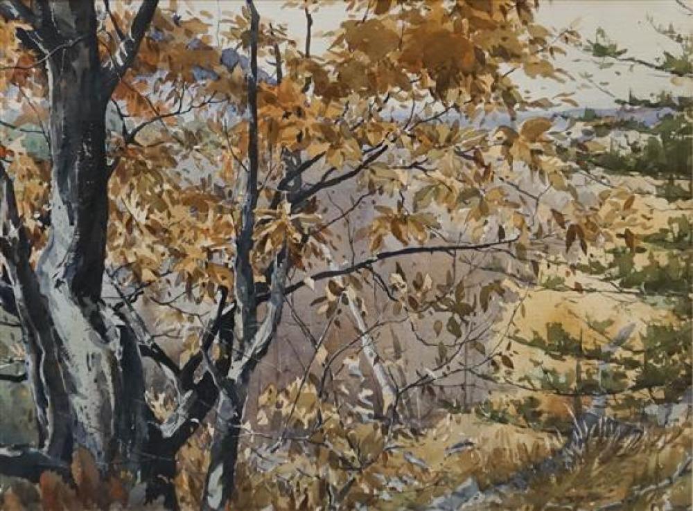 GRAYDON MOYER FALL FOREST CLEARING  321670