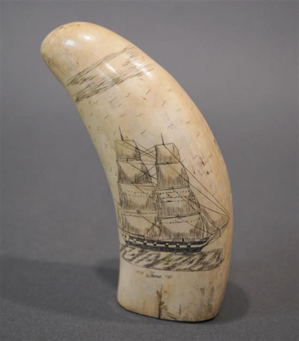 SCRIMSHAW WHALE'S TOOTH OF THE