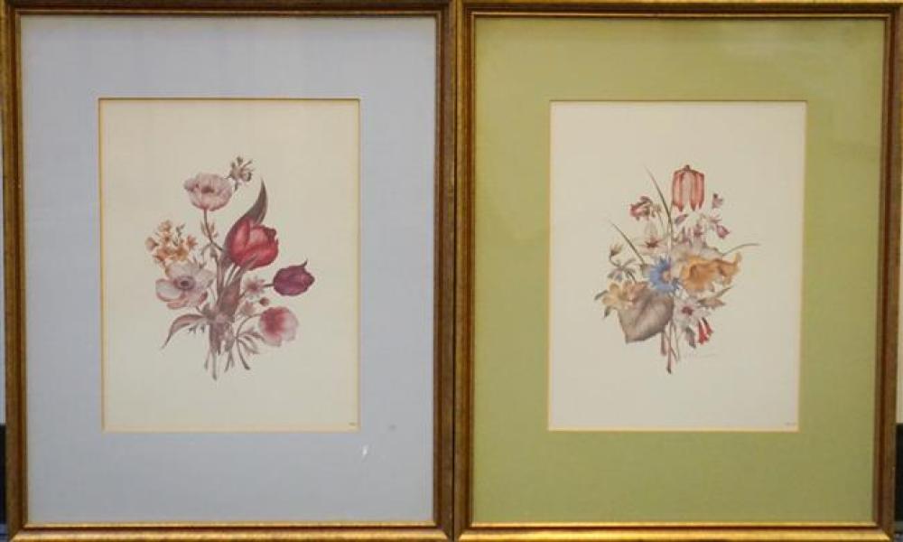 TWO BOTANICAL COLOR PRINTS FRAMED  324fef