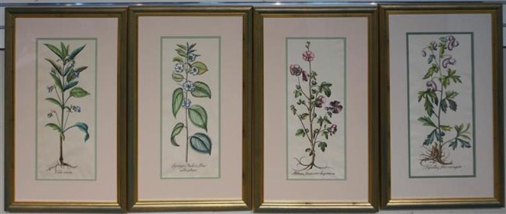 SET WITH FOUR BOTANICAL COLOR PRINTSSet 3250f2