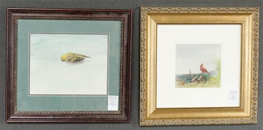 BIRDS, TWO FRAMED WATERCOLORS,