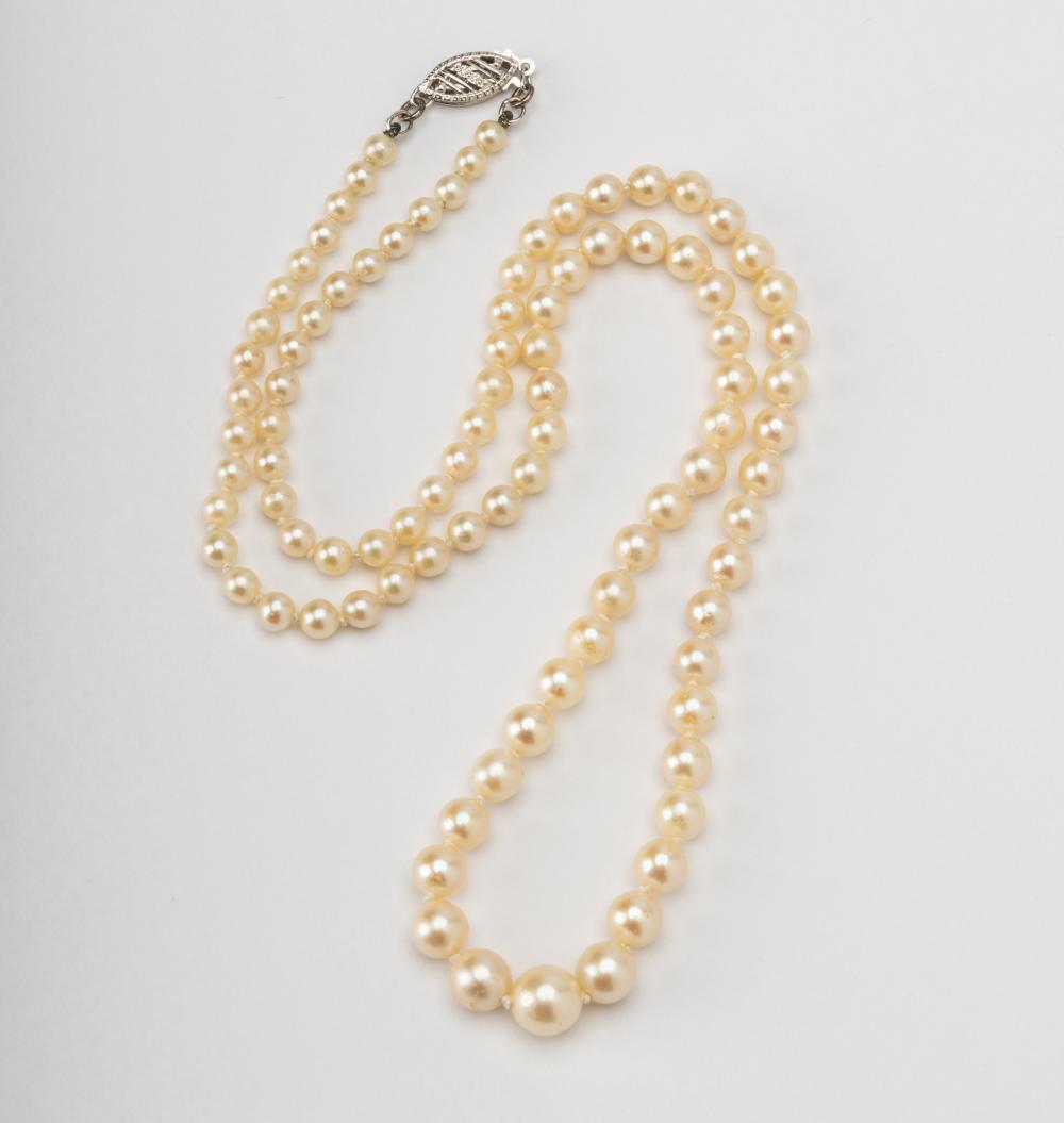 PEARL NECKLACEConsisting of a single 325510