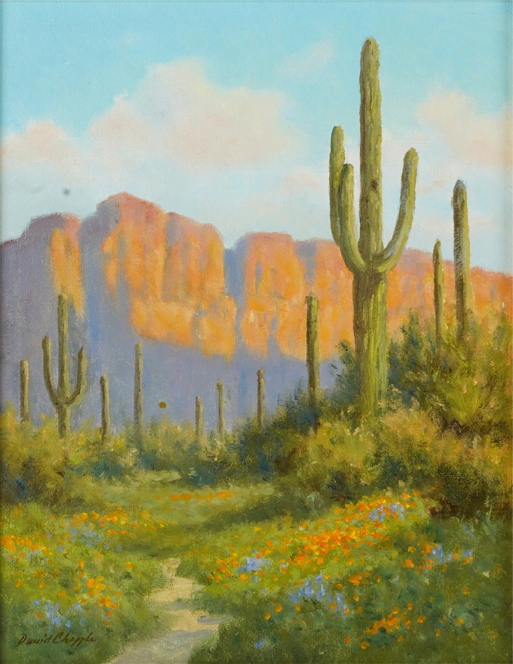 DAVID CHAPPLE (B.1947): DESERT