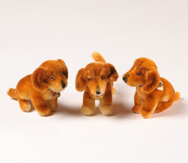 Three Steiff Bazi dachshund dogs  508e4