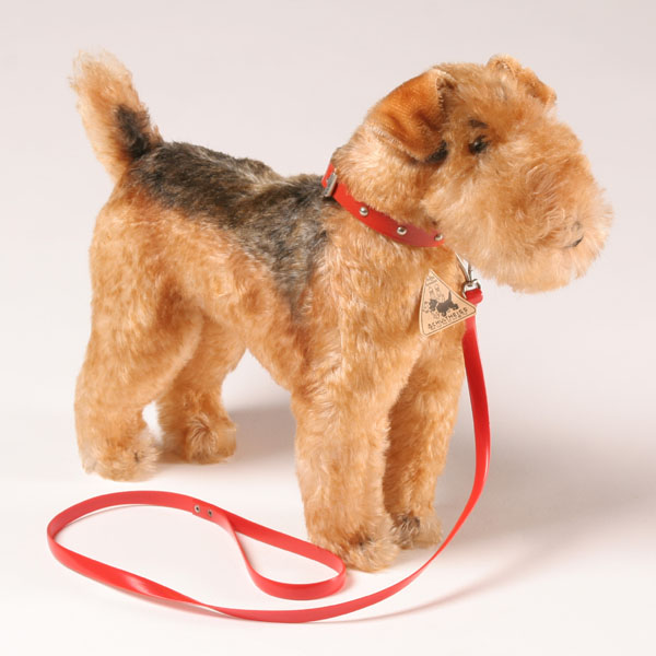 Schultheiss German terrier dog with