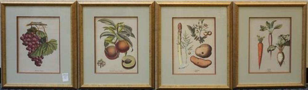 FOUR COLOR PRINTS OF FRUIT FRAMED  323733