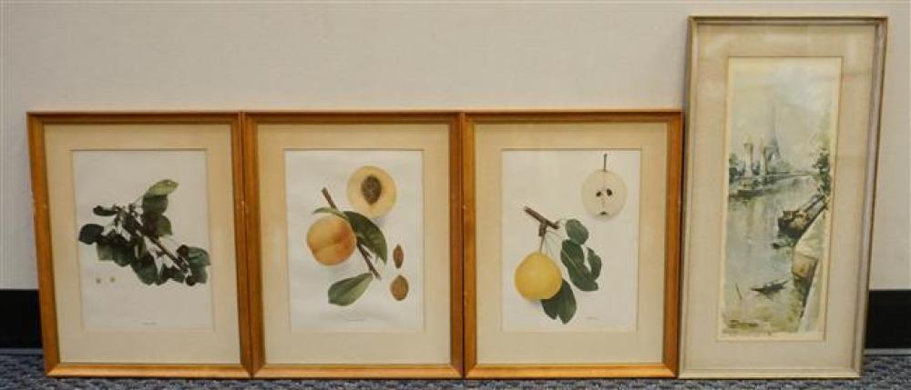 THREE BOTANICAL PRINTS AND A COLOR 323910