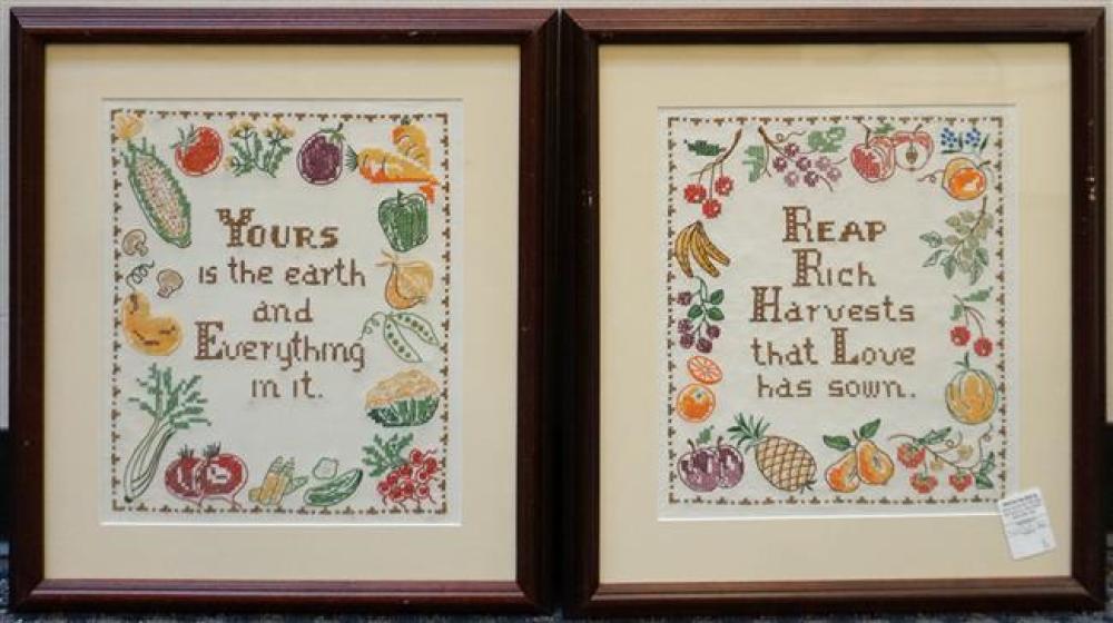 PAIR OF NEEDLEWORK SAMPLERS FRAMED  323a6a