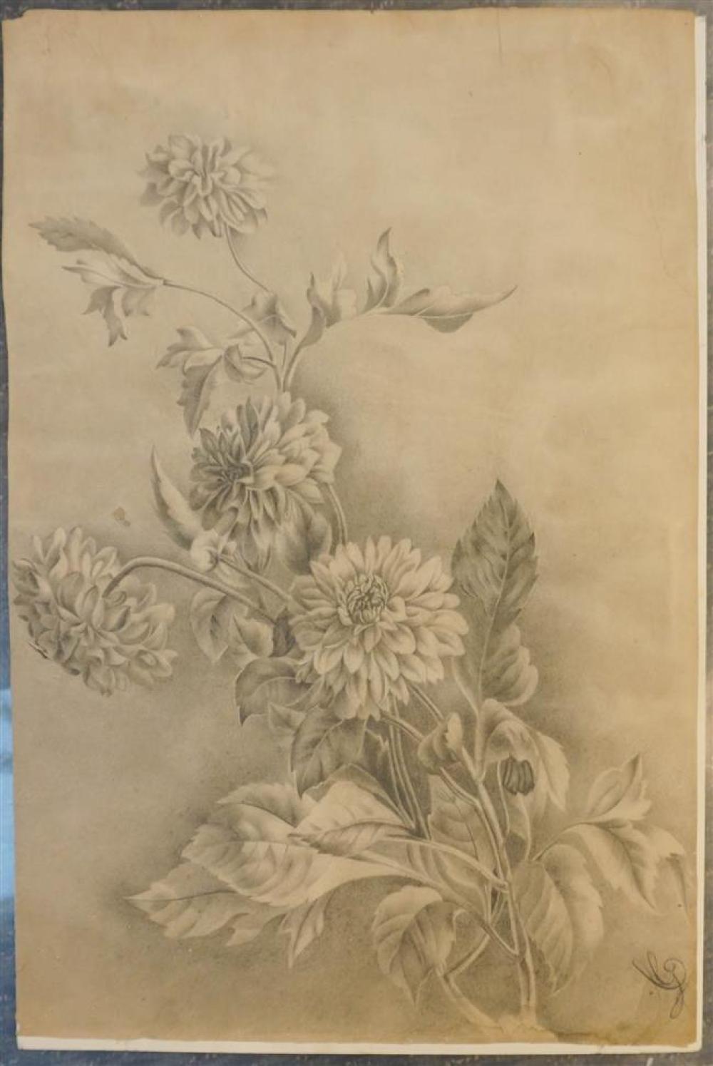 STILL LIFE OF FLOWERS, PENCIL AND