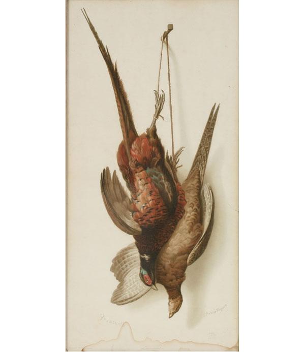Raphael Tuck English bird prints 50b5d